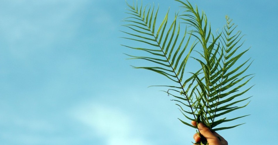 Why Did the Crowd Shout ‘Hosanna in the Highest’ for Jesus?