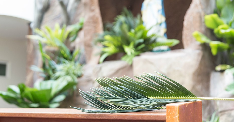 What Is the Meaning of Hosanna in the Bible?